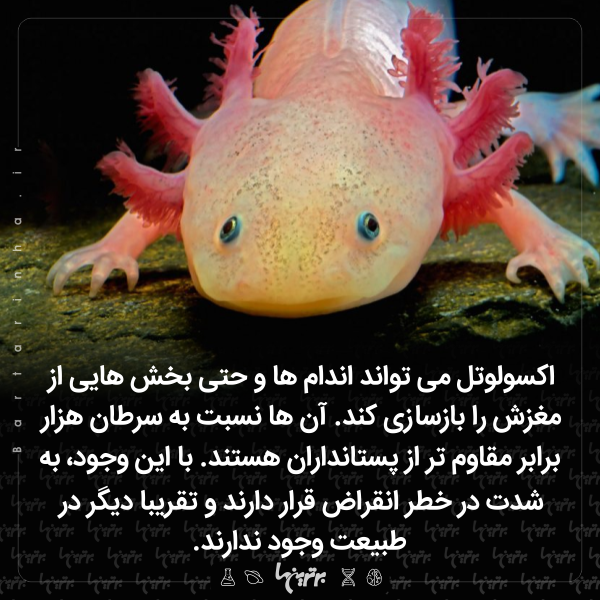دانستنیهای جالب (۲۵۶) دانستنیهای جالب (۲۵۶)