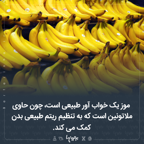 دانستنیهای جالب (۲۵۶) دانستنیهای جالب (۲۵۶)