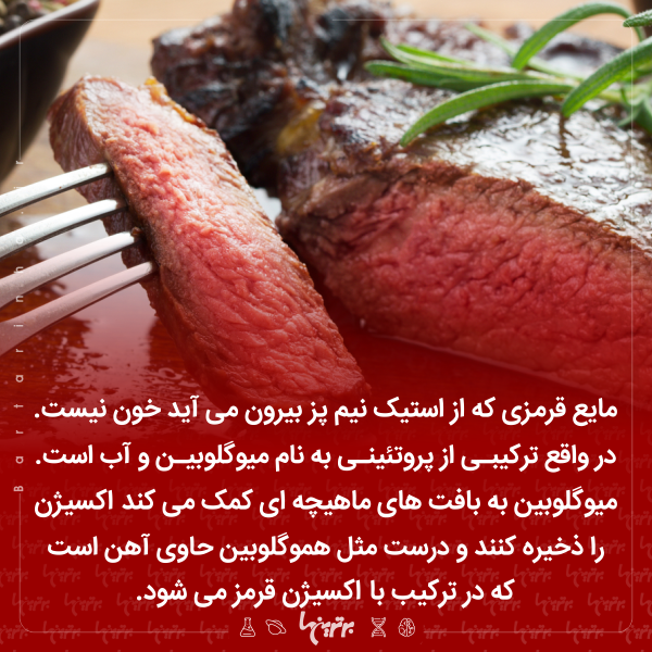دانستنیهای جالب (۲۵۶) دانستنیهای جالب (۲۵۶)
