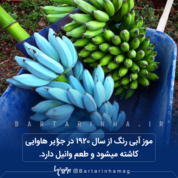 دانستنیهای جالب (۲۶۶) دانستنیهای جالب (۲۶۶)
