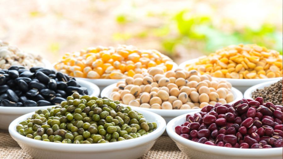 خواص حبوبات برای بارداری و یائسگی