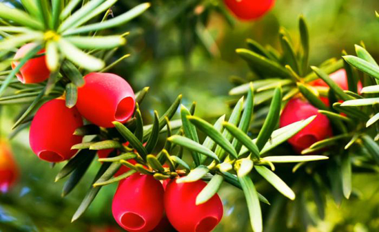 مجموعه حقایق جالب و عالی (سری دوم)