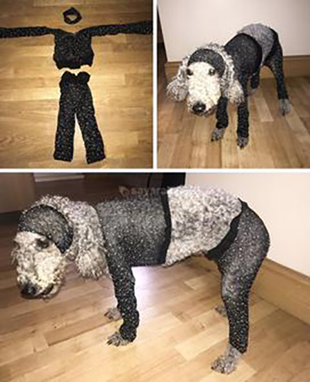 ۱۰ خرید آنلاین که به دریافت کالاهای غیر منتظره ختم شد! ۱۰ خرید آنلاین که به دریافت کالاهای غیر منتظره ختم شد!