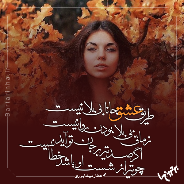 مینی شعر (461)