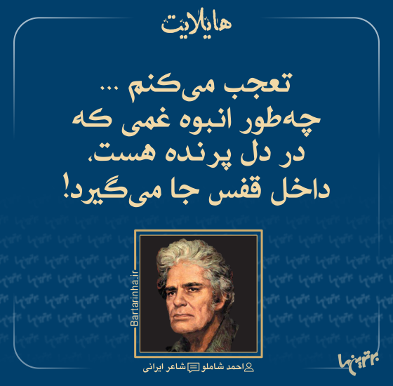 هایلایت (507)