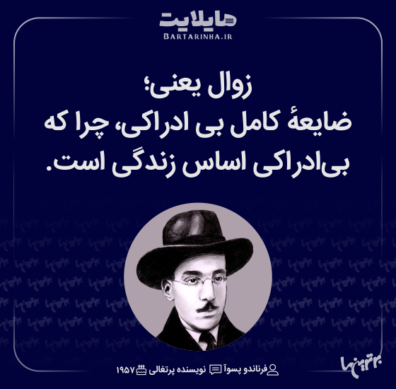 هایلایت (511)