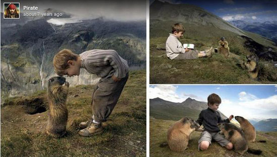 پیوند عجیب و عمیق پسربچه اتریشی با مارموتهای آلپ پیوند عجیب و عمیق پسربچه اتریشی با مارموتهای آلپ