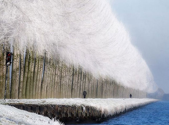 تصاویری شگف آور از جادوی زمستان تصاویری شگف آور از جادوی زمستان