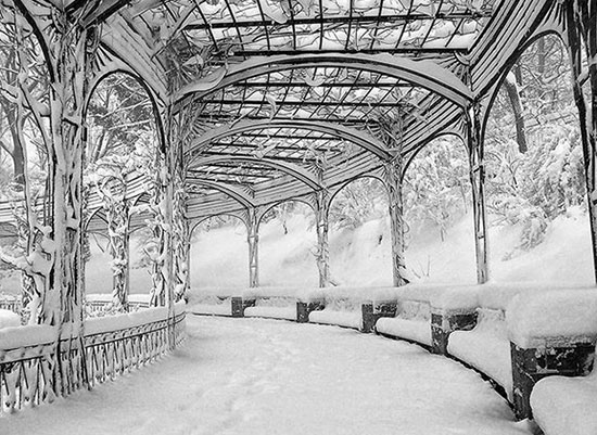 تصاویری شگف آور از جادوی زمستان تصاویری شگف آور از جادوی زمستان