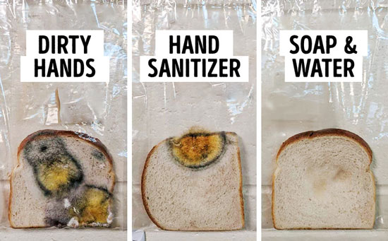 آزمایش جالبی که اهمیت شستن دست ها را نشان می دهد