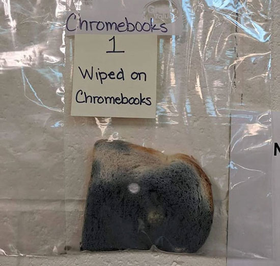 آزمایش جالبی که اهمیت شستن دست ها را نشان می دهد آزمایش جالبی که اهمیت شستن دست ها را نشان می دهد