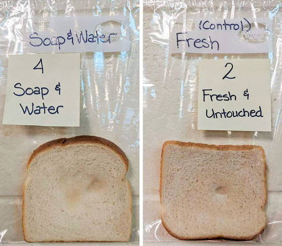آزمایش جالبی که اهمیت شستن دست ها را نشان می دهد آزمایش جالبی که اهمیت شستن دست ها را نشان می دهد