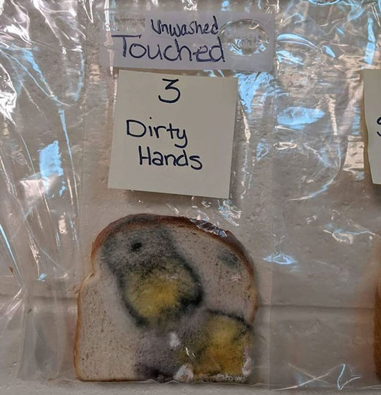 آزمایش جالبی که اهمیت شستن دست ها را نشان می دهد آزمایش جالبی که اهمیت شستن دست ها را نشان می دهد