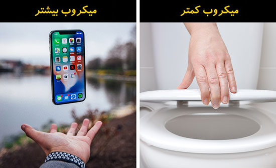 حقایقی جالب که باعث شگفتی شما می‌شوند!