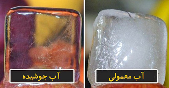 حقایقی جالب که باعث شگفتی شما می‌شوند!