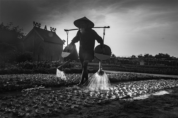 داستان عاشقانه یک زوج قدیمی ویتنامی