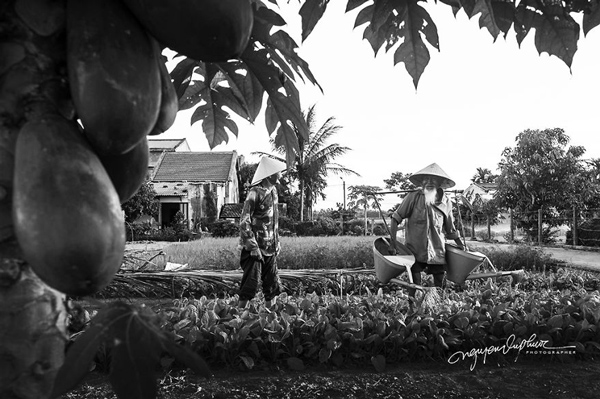 داستان عاشقانه یک زوج قدیمی ویتنامی