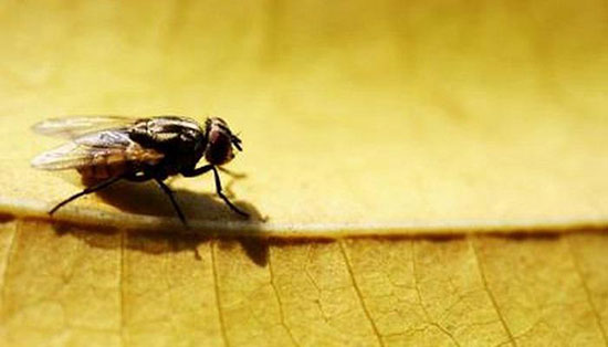 حقایقی عالی درباره موضوعات مختلف