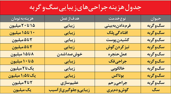 نوبت عمل زیبایی سگ و گربه!