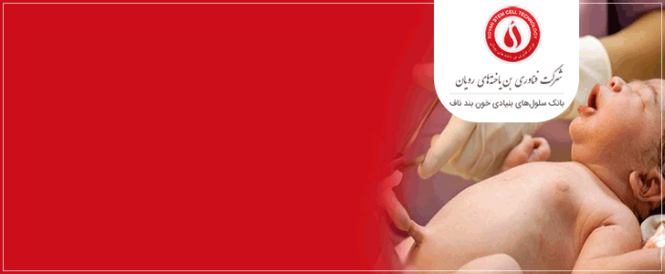 سلولهای بنیادی سلولهای بنیادی