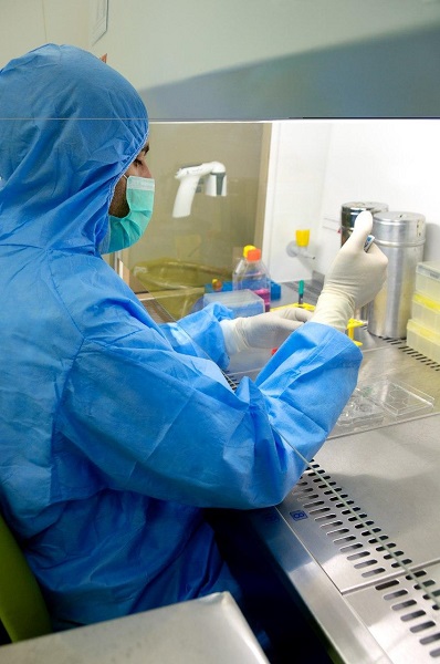 سلولهای بنیادی سلولهای بنیادی