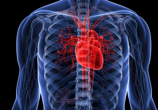 درمان گرفتگی قلب و عروق، علائم، علل و روش‌های درمانی!