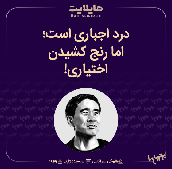 هایلایت (504)