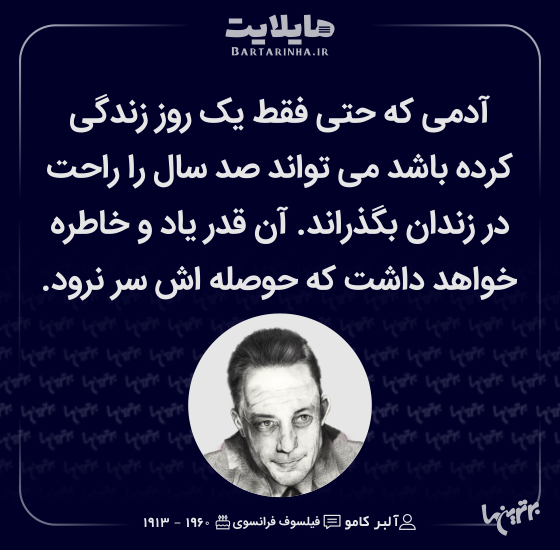 هایلایت (504)