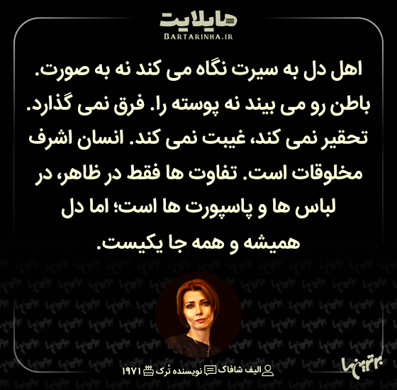 هایلایت (504)
