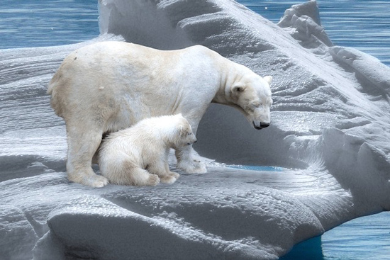 حقایق واقعی که به نظر ساختگی می‌رسند!