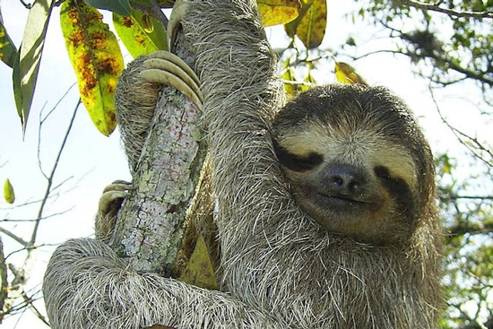 حقایق واقعی که به نظر ساختگی می رسند