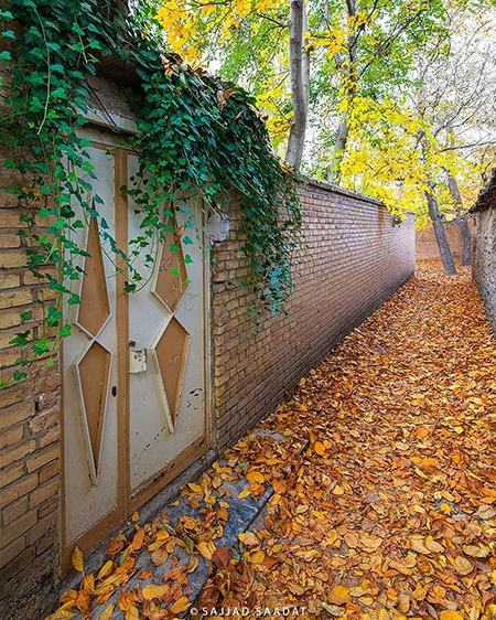 عکس‌هایی که بوی نابِ زندگی می‌دهند!