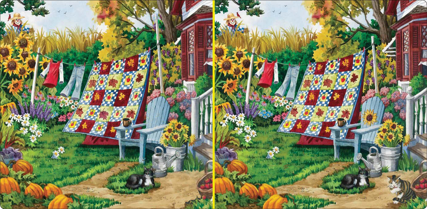 چالشی برا ذهن‌هایتان