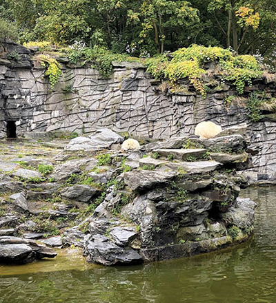 گردش در جذاب‌ترین پارک حیوانات جهان