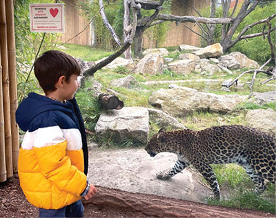 گردش در جذاب‌ترین پارک حیوانات جهان