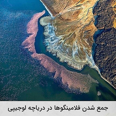 عکس‌هایی که ارزش دارند!