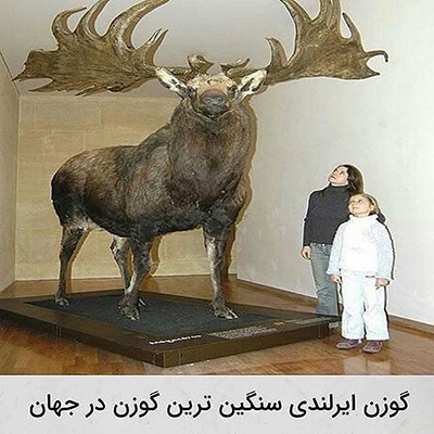 عکس‌هایی که ارزش دارند!