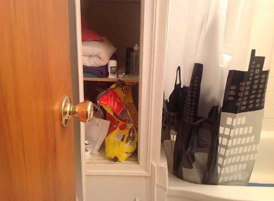 گربه‌های مخفی شده را پیدا کنید