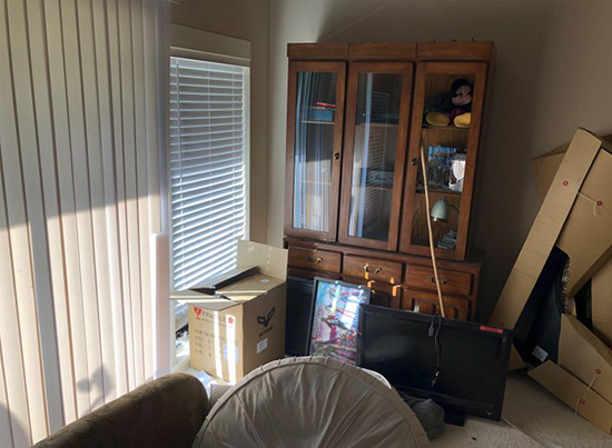 گربه‌های مخفی شده را پیدا کنید