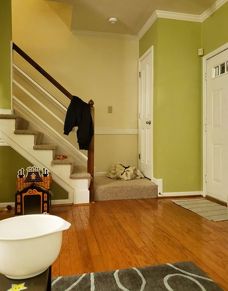 گربه‌های مخفی شده را پیدا کنید