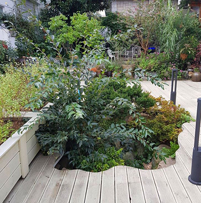 گربه‌های مخفی شده را پیدا کنید