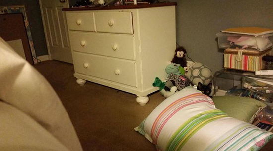 گربه‌های مخفی شده را پیدا کنید