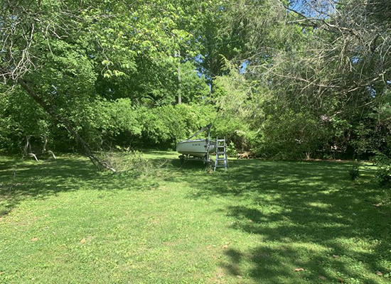 گربه‌های مخفی شده را پیدا کنید