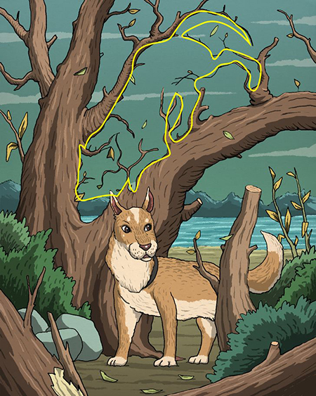 تست دقت و توجه برای ریزبینها تست دقت و توجه برای ریزبینها