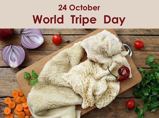 سیرابیِ بختبرگشته؛ شبیه موکت و کمی بدبو! سیرابیِ بختبرگشته؛ شبیه موکت و کمی بدبو!