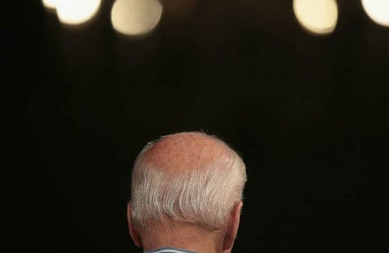 برترین عکس‌های انتخاباتی بایدن و ترامپ