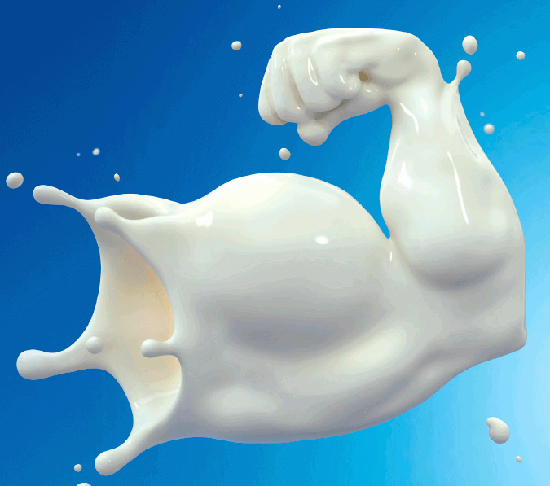۸ دلیل مهم برای اینکه «شیر» رادوست داشته باشیم