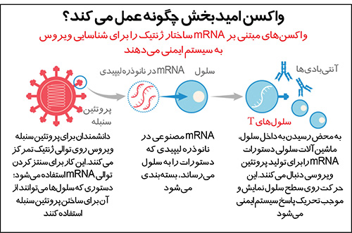 اینجا کرونا شکار شد