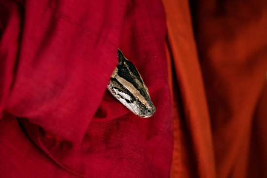 عبادتگاهی که پناهگاه مار‌ها شد!