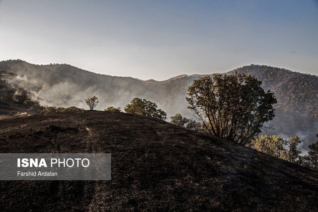 آتشسوزی جنگلهای سروآباد مهار شد آتشسوزی جنگلهای سروآباد مهار شد